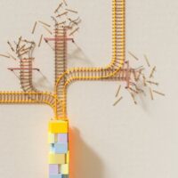 Fotó: Google DeepMind, Forrás: Pexels