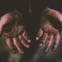 Illusztráció: Markus Bohl