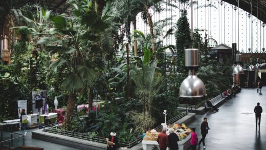 Illusztráció: Nicolas Postiglioni